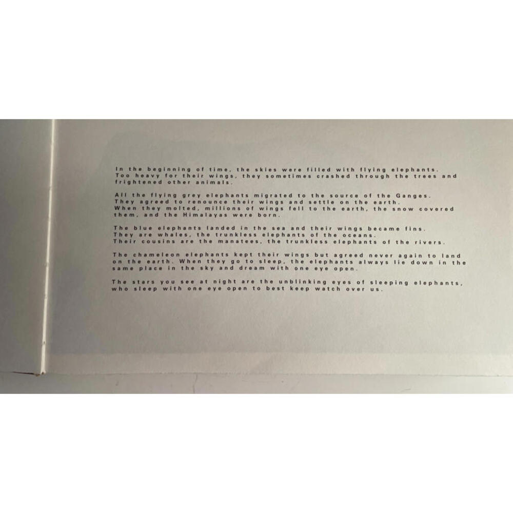 Ashes and Snow Santa Monica Pier Exhibition Catalogue 2005 - Picture 6 of 9